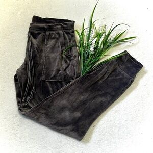 House of Harlow 1960 Grey Velour Velvet Jogger Pants - Small